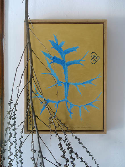 Erastos Kampouropoulos - Eryngium campestre leaf